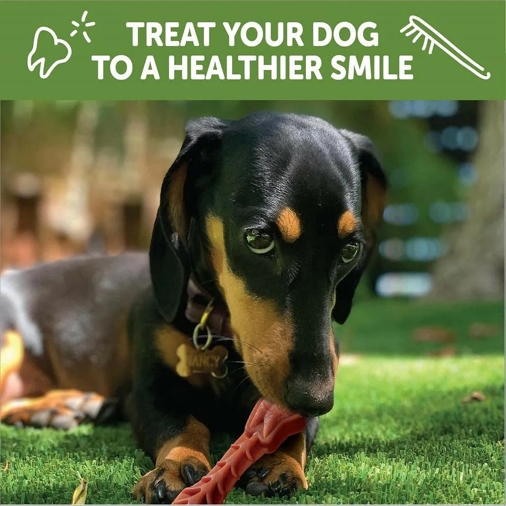 WHIMZEES Brushzees Dental Chews Natural Grain-Free Dental Dog Treats Extra Small (48 count)