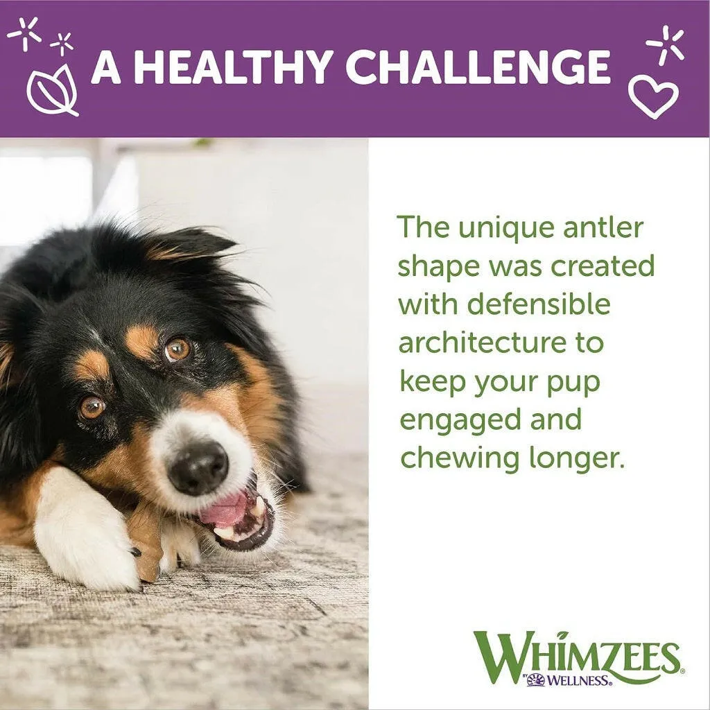 Whimzees by Wellness Occupy Antler Bulk Box Treat For Medium Dog ( 66 pc )